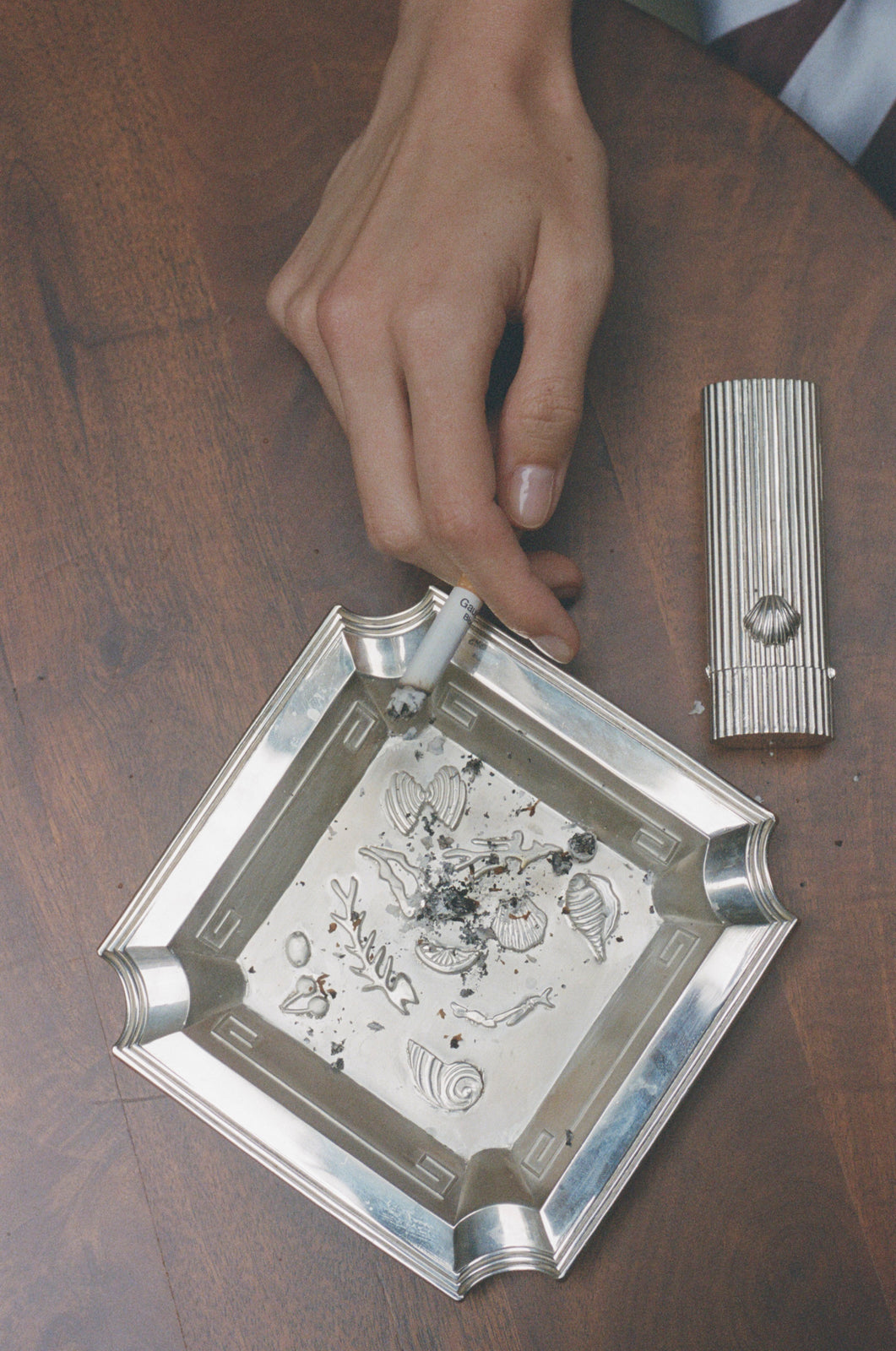 SHELL LIGHTER CASE in Silver image 5