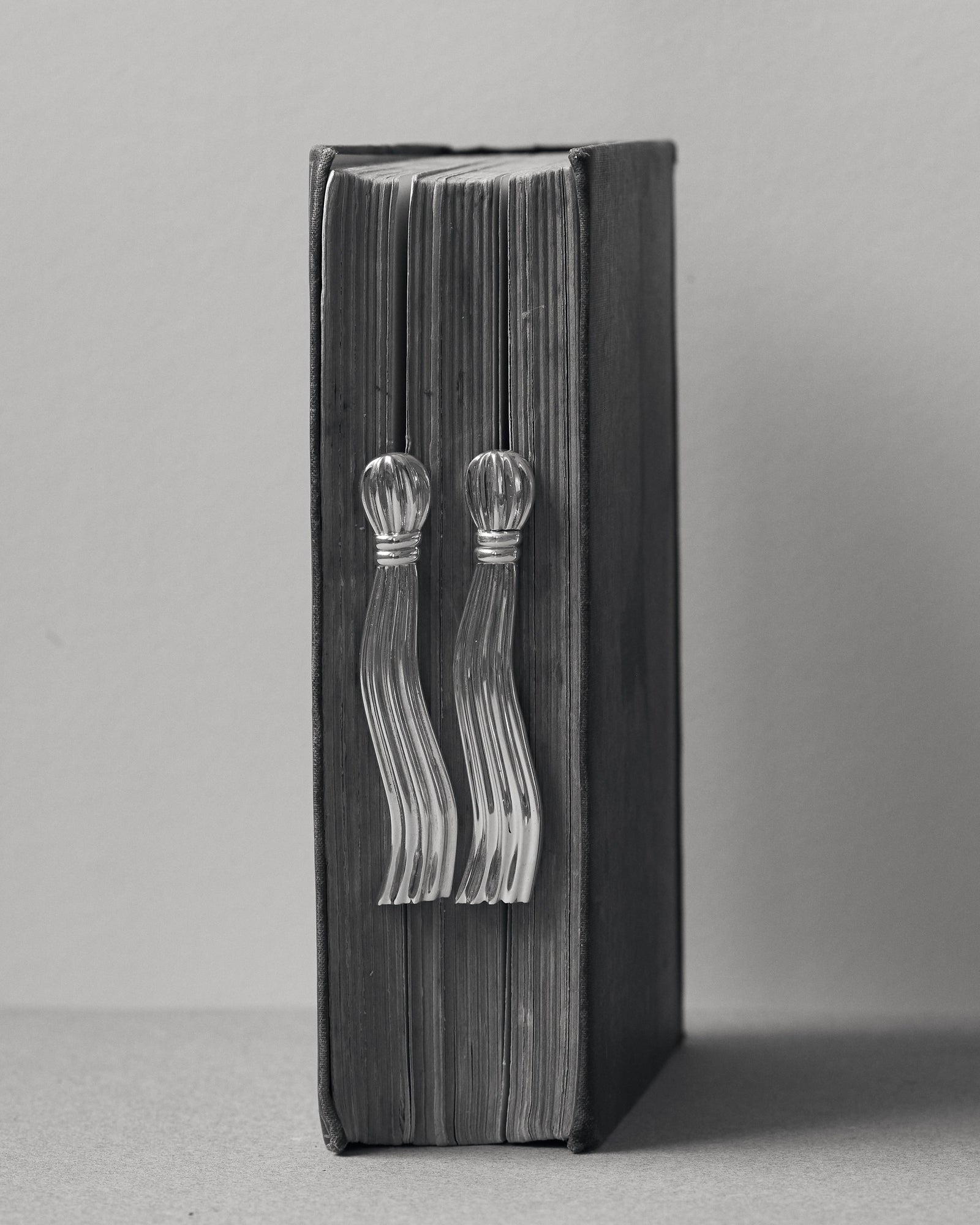 Antonella Earrings in Silver image 6